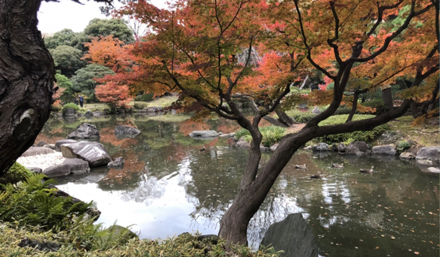 旧鷲塚家住宅