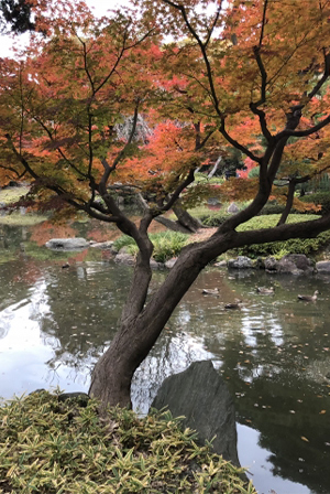 旧鷲塚家住宅