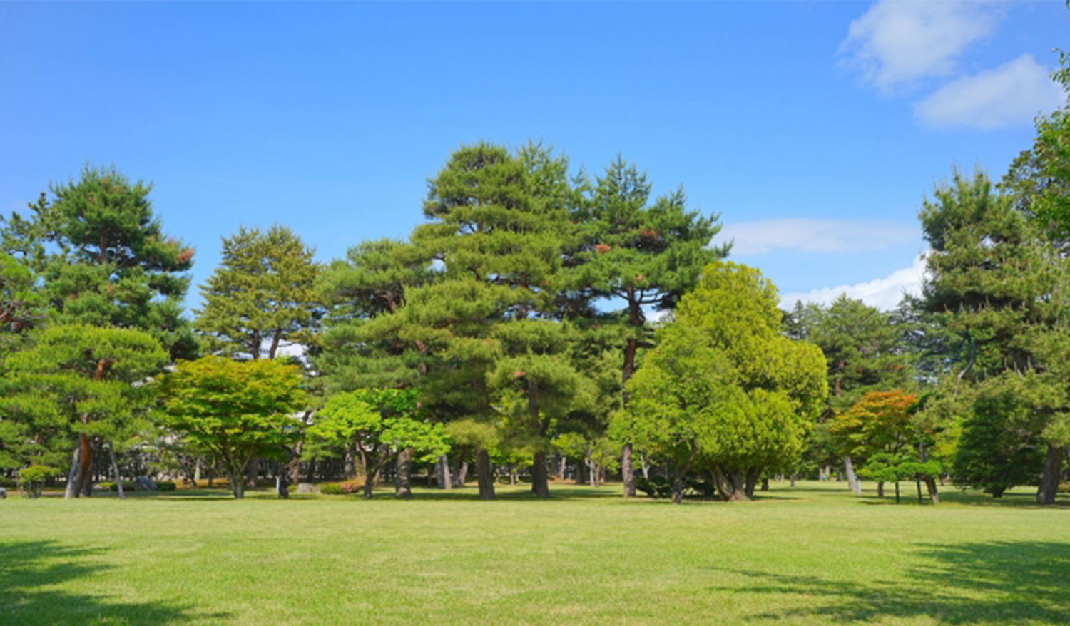 高崎市石倉庭園
