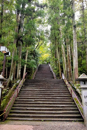 熊野古道