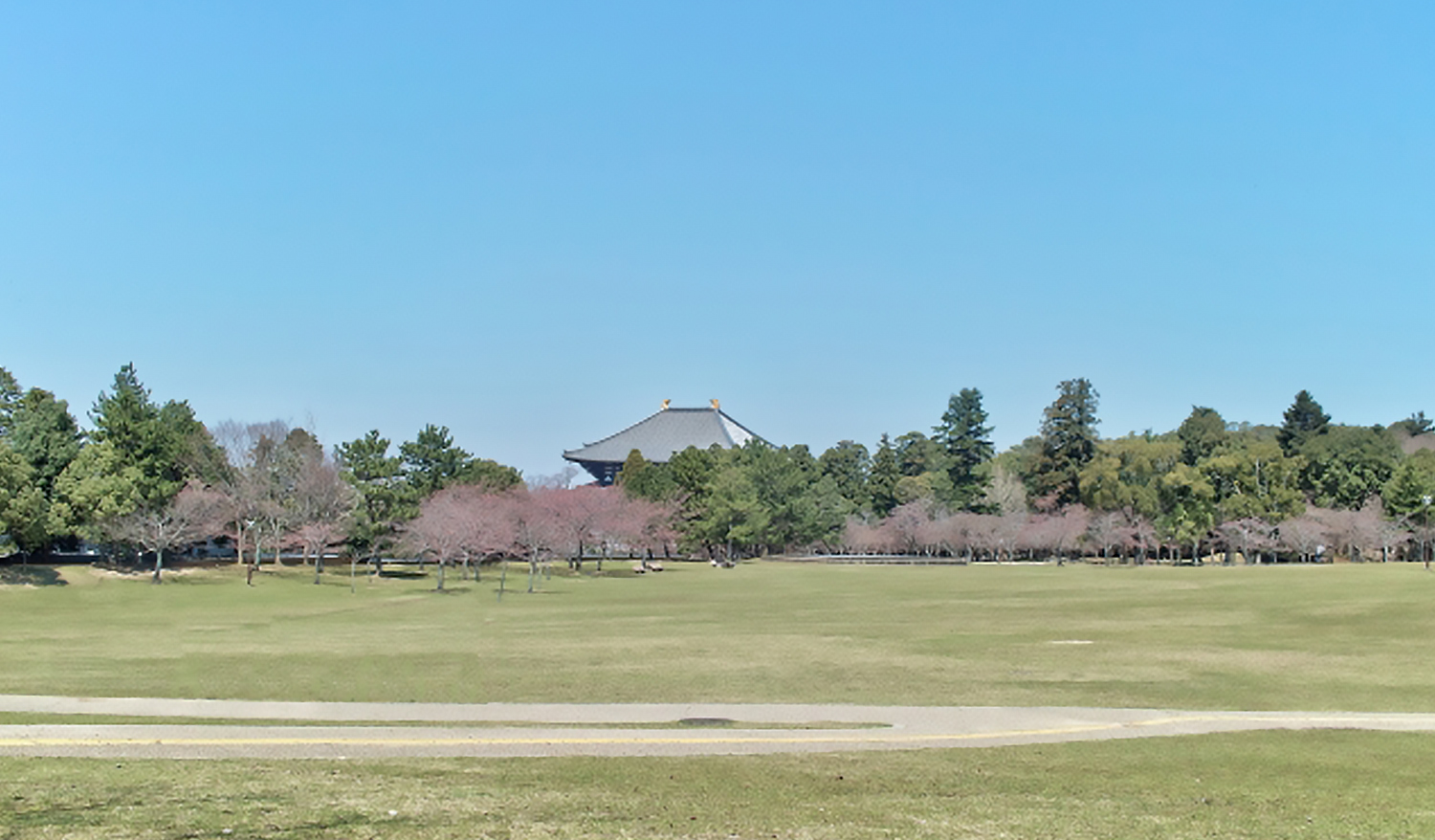 奈良公園