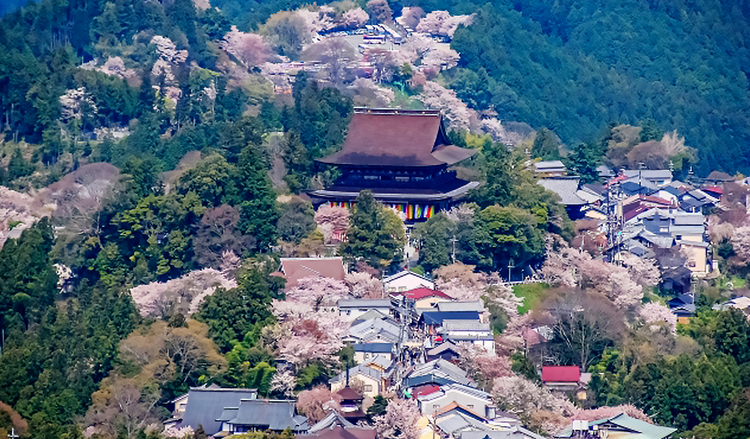 吉野山