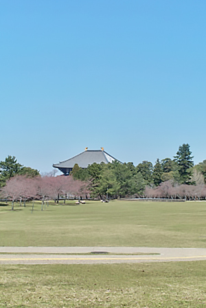 奈良公園