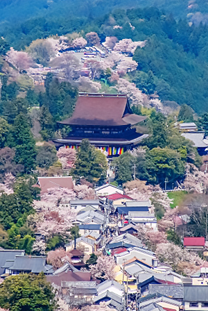 吉野山