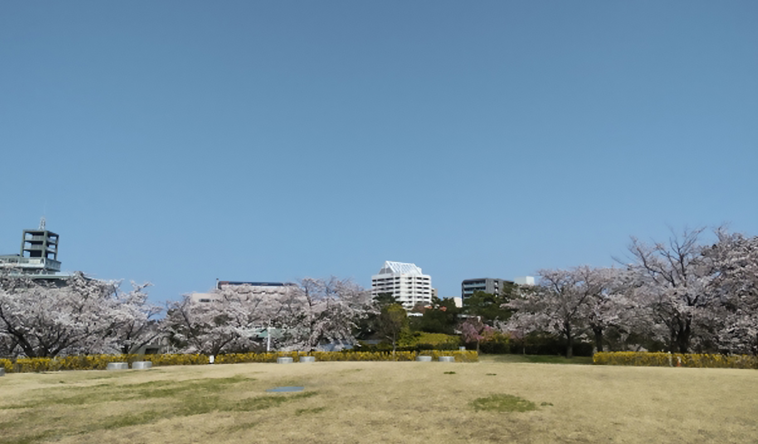 白山公園