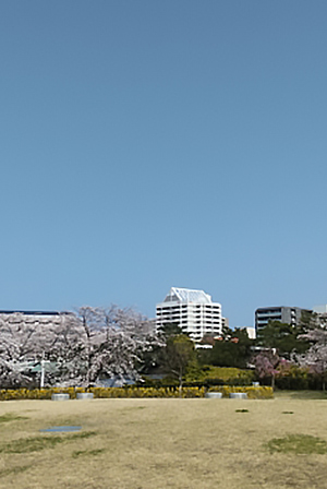 白山公園