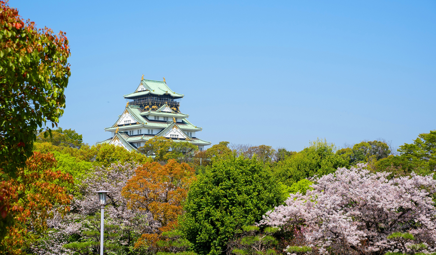 大阪城公園