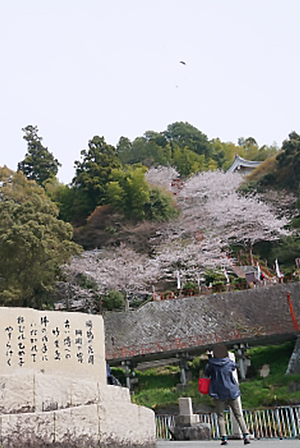 竹生島