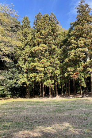 萩城跡指月公園庭園