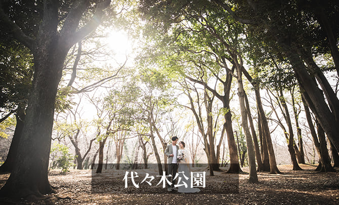 11.代々木公園　前撮り　雑木林１