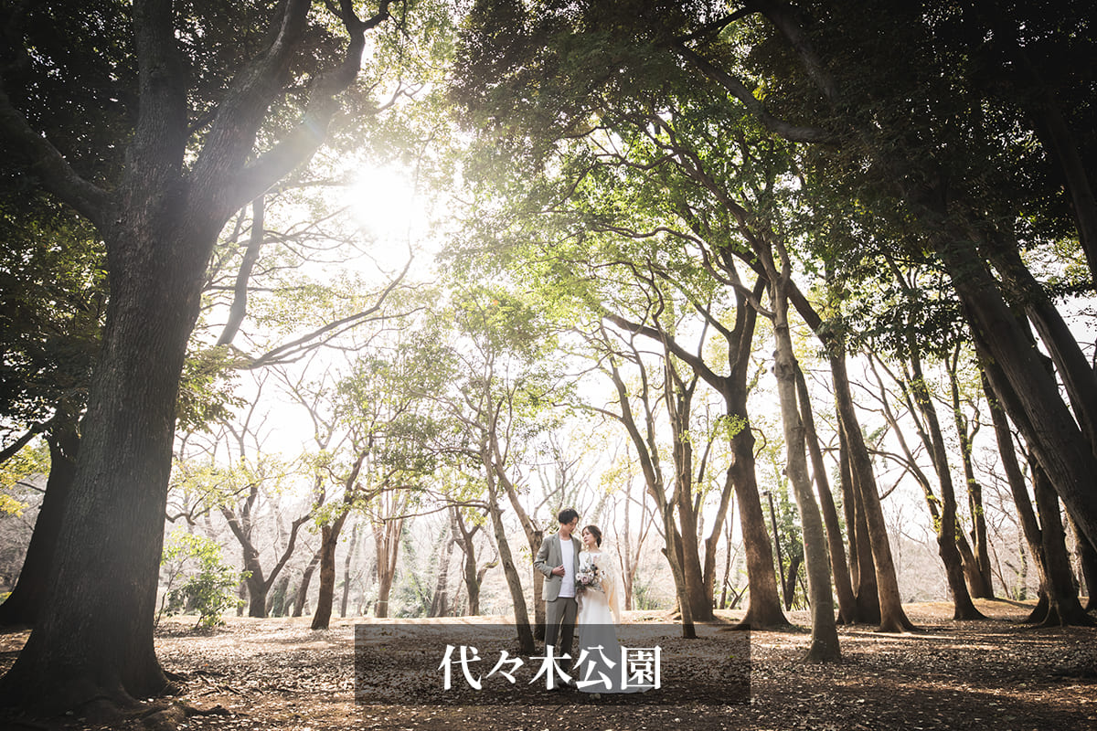 11.代々木公園　前撮り　雑木林１