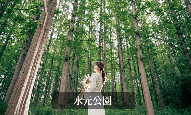 2.水元公園　前撮り　新婦ソロ　ギャラリー