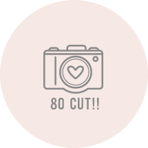 データ80カット